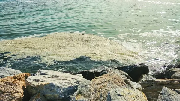 Felsen Der Küste Des Meeres — Stockfoto