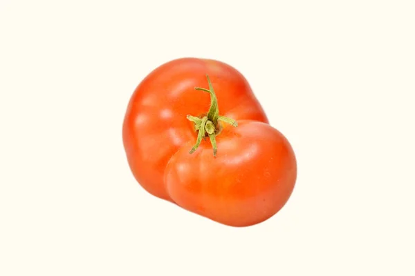Único Tomate Isolado Sobre Fundo Branco — Fotografia de Stock