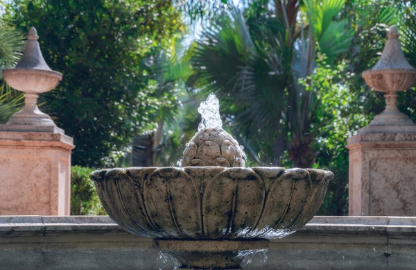 Closeup Shot Vintage Fountain Garden Beautiful Tropical Trees — Stock Photo, Image