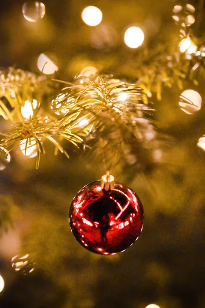 Red Christmas Ball Christmas Tree — Stock Photo, Image