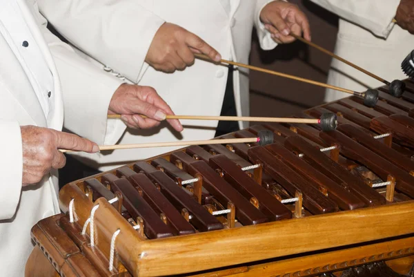 Detailní Záběr Klávesnici Marimba Nebo Hormigo Guatemala Národní Nástroj Guatemaly — Stock fotografie