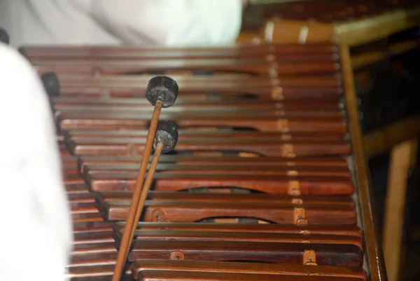 一个Marimba或Hormigo键盘的特写镜头 危地马拉 危地马拉国家乐器 用Hormigo木制 — 图库照片