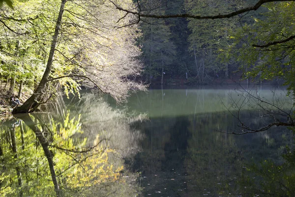 Sjön Med Reflektioner — Stockfoto