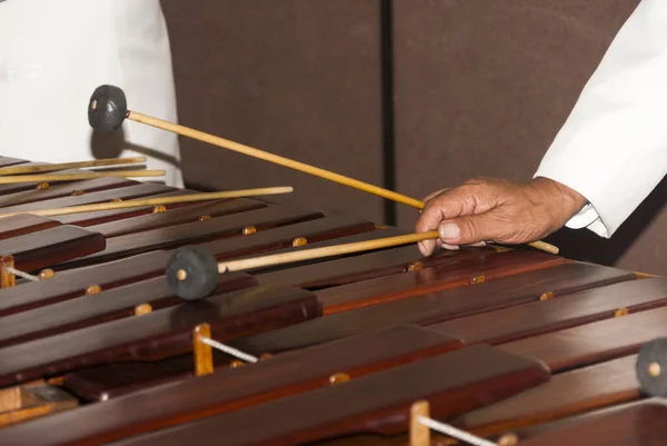 一个Marimba或Hormigo键盘的特写镜头 危地马拉 危地马拉国家乐器 用Hormigo木制 — 图库照片