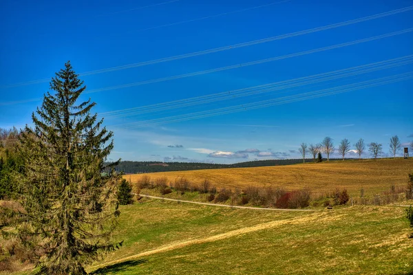 Una Splendida Vista Campi Agricoli Alberi Sotto Cielo Azzurro Chiaro — Foto Stock