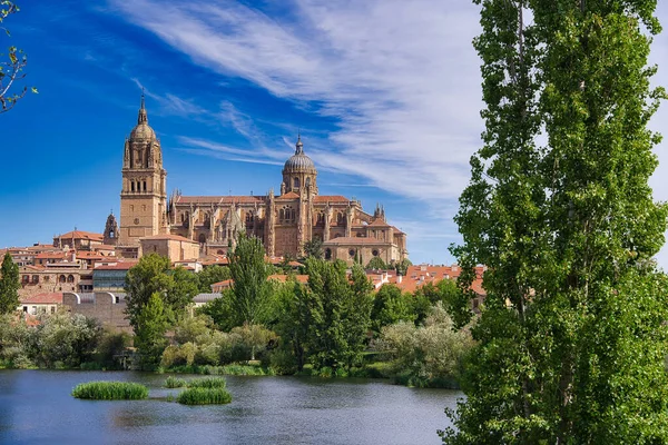 Beautiful City Salamanca Spain Daylight — Stock Photo, Image