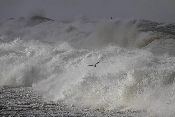 Velká Bouřka Rozbíjí Vlny Severní Pobřeží Portugalska — Stock fotografie