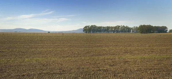 Imagen Panorámica Campo Argentino Preparado Para Siembra —  Fotos de Stock