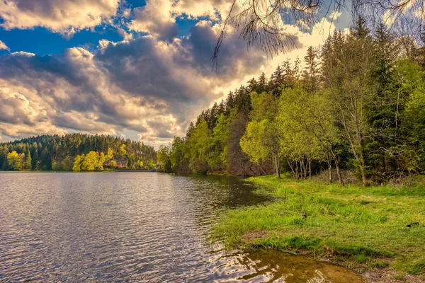 Lago Calmo Com Densas Árvores Verdes Litoral Sob Céu Nublado — Fotografia de Stock
