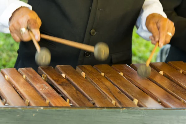 危地马拉的国家乐器 用Hormigo木材制成中美洲的Marimba键盘 — 图库照片