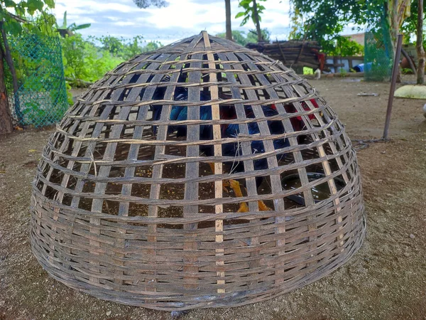 竹製の木籠 — ストック写真