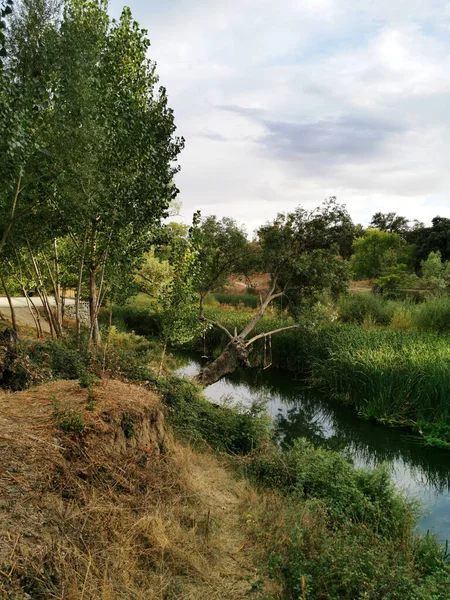 Pardo Madrid Espagne Une Belle Vue Sur Reflet Pittoresque Herbe — Photo