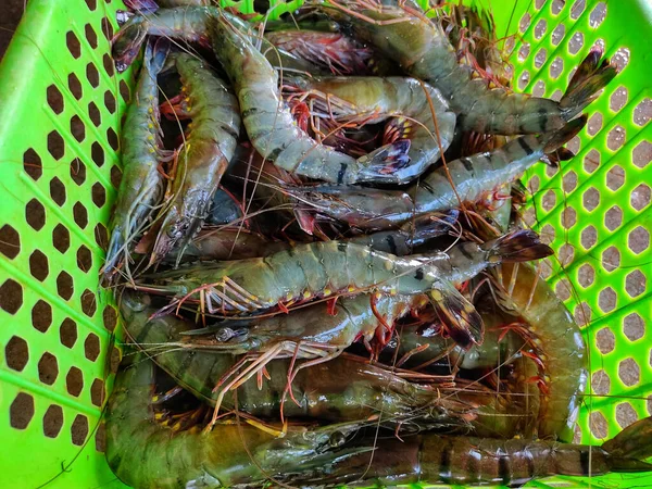 Gros Plan Crevettes Fraîchement Pêchées Dans Bol Vert — Photo