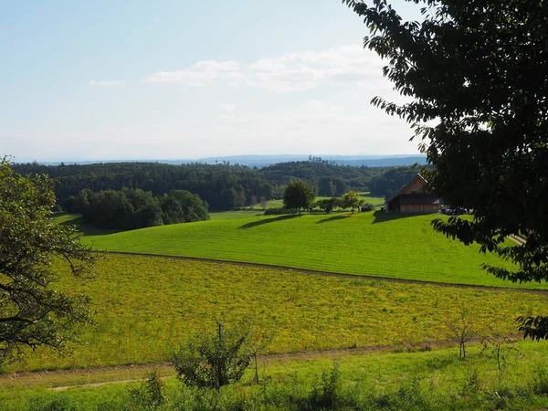 Vacker Utsikt Över Ett Grönt Fält Och Skog — Stockfoto