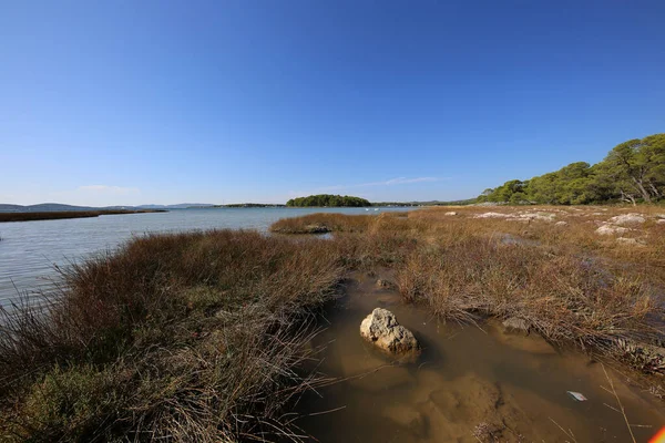 Piękny Widok Skaliste Wybrzeże Adriatyku Chorwacji — Zdjęcie stockowe