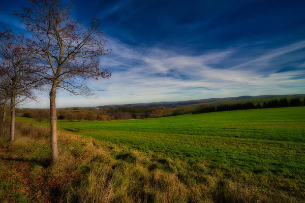 Priveliște Fascinantă Unui Câmp Agricol Copacilor Sub Cer Albastru Închis — Fotografie, imagine de stoc