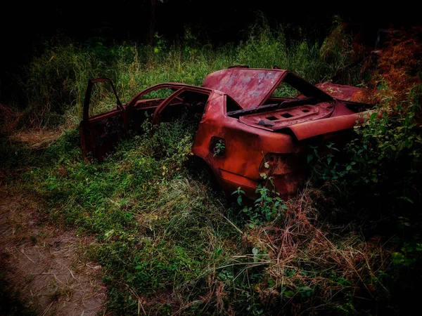 Métal Voiture Rouillé Dans Herbe Dans Une Forêt — Photo