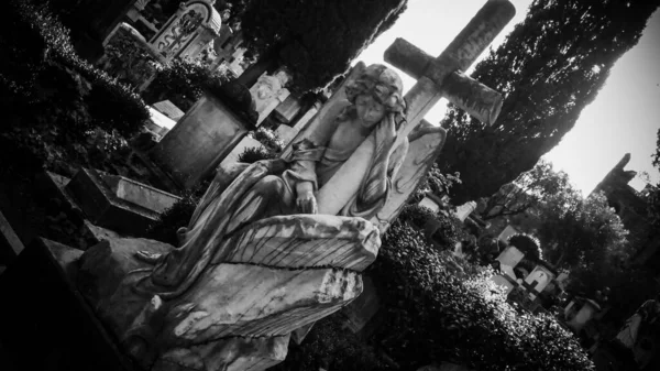 Šedivý Záběr Hřbitov — Stock fotografie