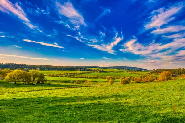 Gün Batımında Bulutlu Bir Gökyüzünün Altında Ağaçların Tepelerin Olduğu Yeşil — Stok fotoğraf