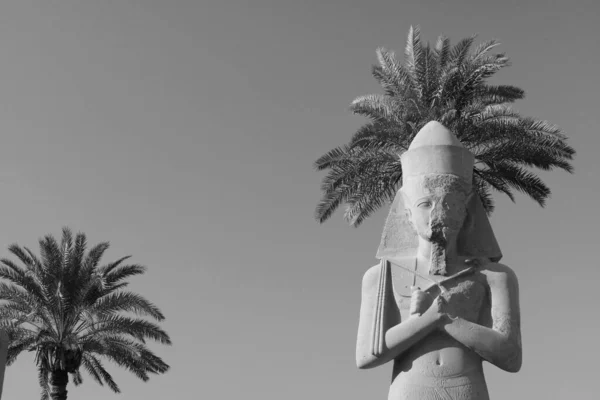 Gråskala Bild Statyn Ramses Templet Amun Karnak Egypten — Stockfoto