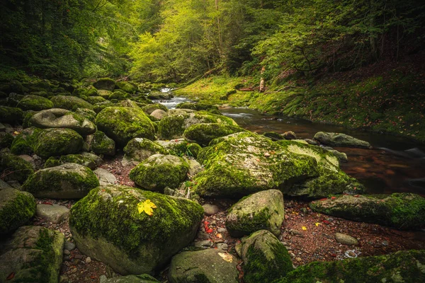 Hermoso Paisaje Natural Bosque Bávaro Con Vegetación Río Wolfensteiner Ohe — Foto de Stock