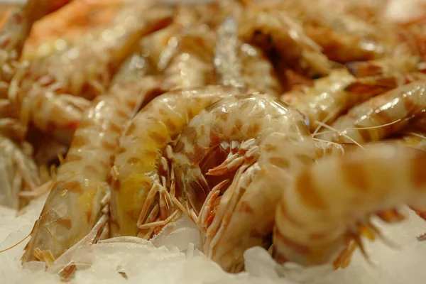 Gros Plan Une Pile Crevettes Fraîches Dans Marché Fruits Mer — Photo