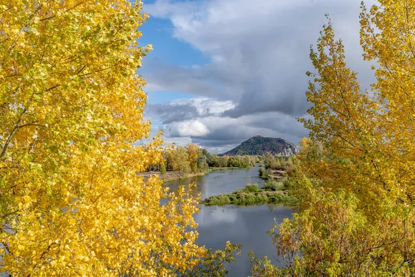 Záběr Řeky Hory Pod Zataženou Oblohou Mezi Žlutými Listí — Stock fotografie