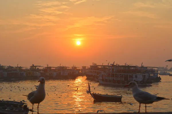 Günbatımında Limana Demir Atmış Yelkenliler — Stok fotoğraf