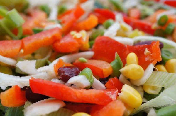 野菜のバリエーションからの新鮮なサラダ — ストック写真