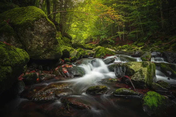 Bellissimo Paesaggio Naturale Nella Foresta Bavarese Con Vegetazione Fiume Wolfensteiner — Foto Stock