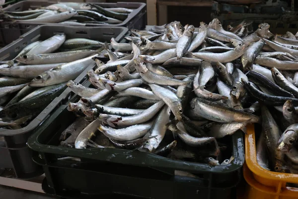 Het Assortiment Verse Vis Een Markt — Stockfoto