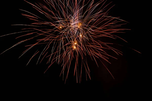 Belo Fogo Artifício Céu Noturno — Fotografia de Stock