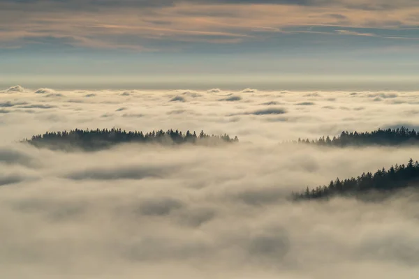 Bellissimo Paesaggio Autunnale Coperto Nuvole Baviera Germania — Foto Stock