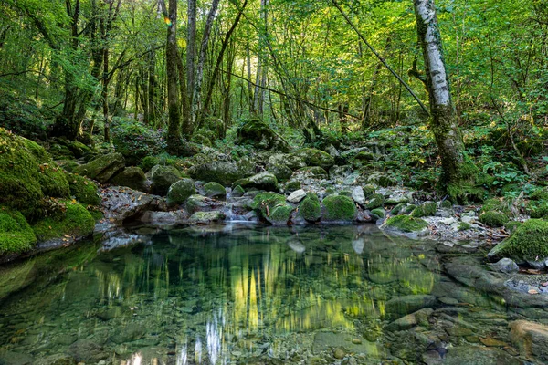 Forêt Aux Cascades Kot Frioul Vénétie Julienne — Photo