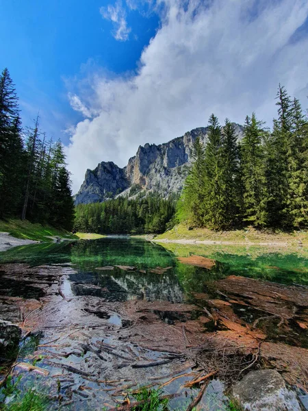 Stezka Zeleného Jezera Obklopená Borovicemi Proti Zatažené Modré Obloze Štýrsku — Stock fotografie