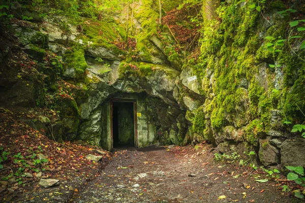 Egy Gyönyörű Természeti Táj Bajor Erdőben Zölddel Egy Faházzal Németországban — Stock Fotó
