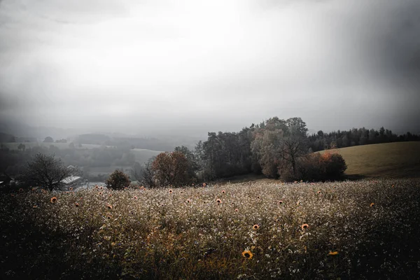 Ein Schöner Blick Auf Eine Herbstlandschaft Mit Bäumen Bayern Deutschland — Stockfoto