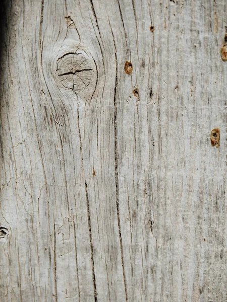 Вертикальний Макрознімок Поверхні Кори Дерева Тріщинами — стокове фото