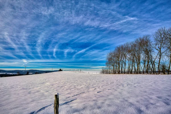 Ein Schneebedecktes Feld Mit Schritten Auf Dem Hintergrund Von Blattlosen — Stockfoto