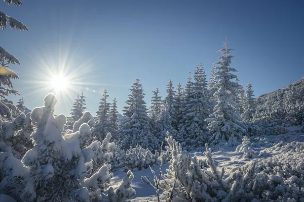 Een Winter Uitzicht Vallei Van Vijf Meren Dolina Pieciu Stawow — Stockfoto