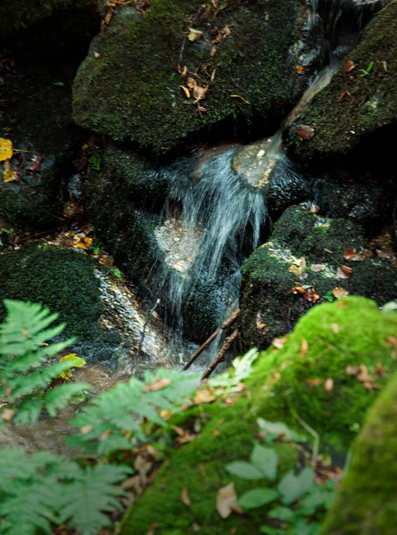 Маленький Водопад Моховых Камней — стоковое фото