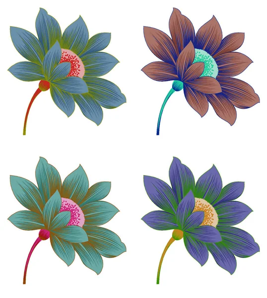 Ilustracja Pięknych Kolorowych Kwiatów Naturalne Tło Lub Tapeta — Zdjęcie stockowe