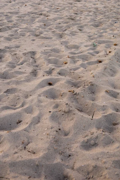 Вертикальный Снимок Песка Берегу Моря Крошечными Камнями Нем — стоковое фото