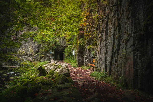 Een Prachtig Natuurlandschap Het Beierse Bos Met Groen Wolfensteiner Ohe — Stockfoto