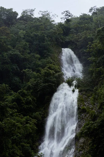 Uma Bela Vista Cachoeira Que Flui Sobre Rochas Árvores Densas — Fotografia de Stock