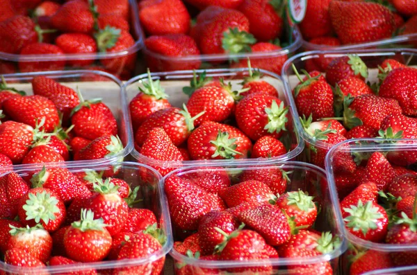 Las Fresas Frescas Maduras Recipientes Plástico Una Tienda Comestibles — Foto de Stock