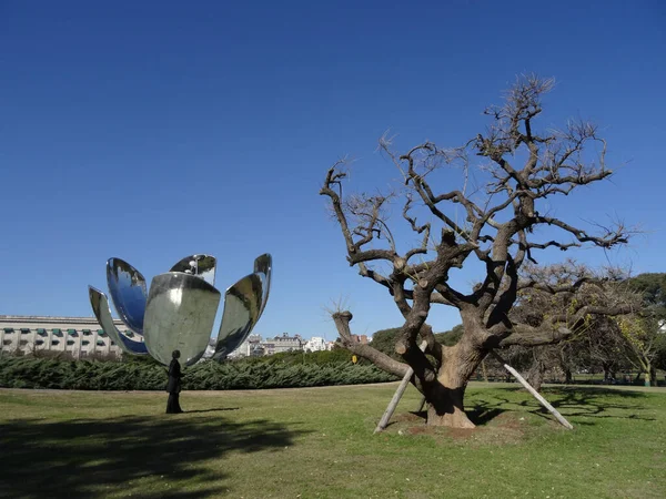 Buenos Aires Argentinien Juni 2015 Eine Riesige Metallblumen Skulptur Von — Stockfoto