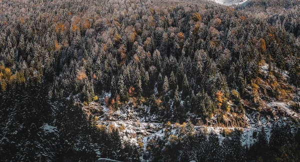 Arka Planda Orman Ağaçları Olan Karlı Bir Dağ Yolunun Hava — Stok fotoğraf