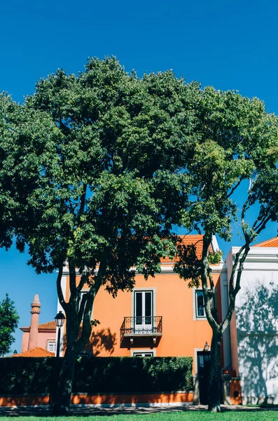 Plano Vertical Dos Árboles Altos Frente Una Casa Naranja Día — Foto de Stock