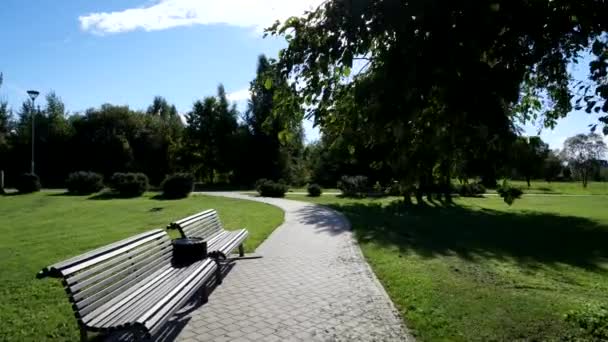 Schöne Aussicht Auf Den Park — Stockvideo